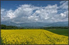 Endlich wieder Sonne