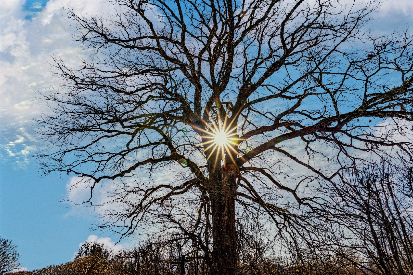 Endlich wieder Sonne.... Der Frühling ruft. 