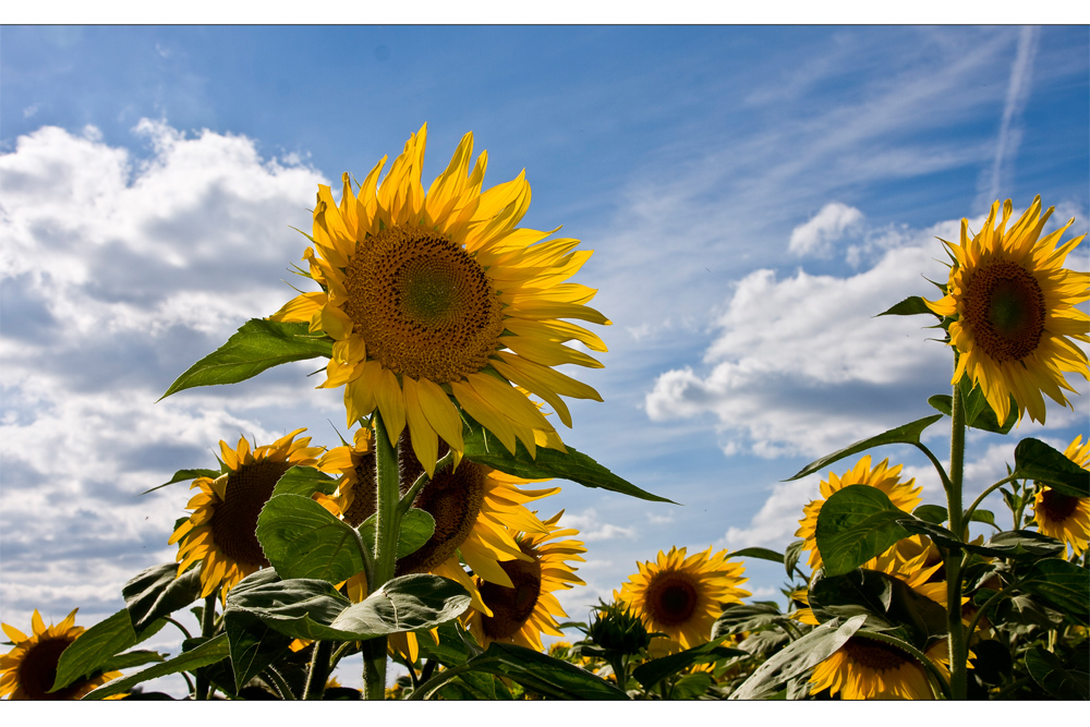 endlich wieder Sonne