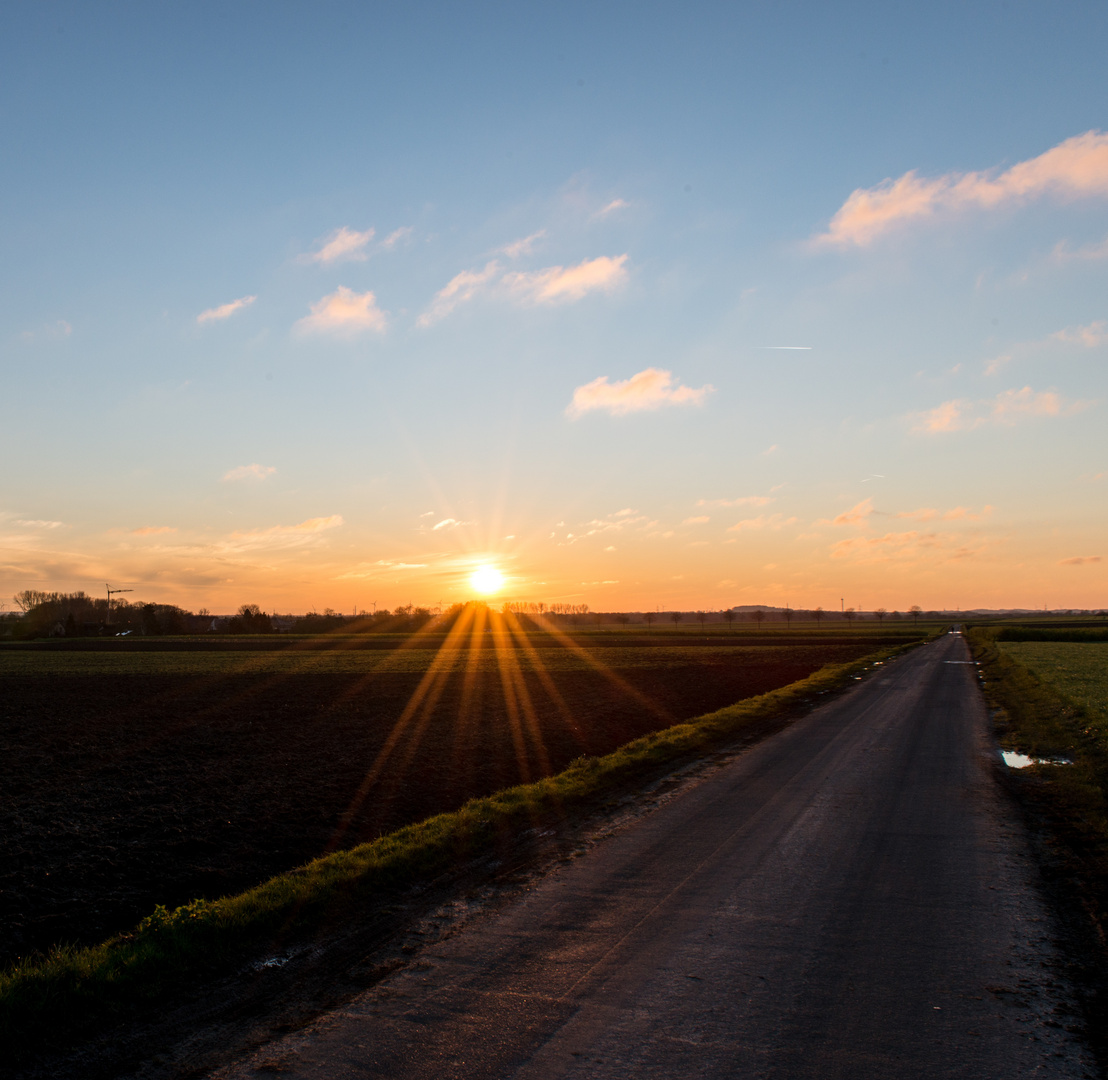 Endlich wieder Sonne