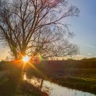 Endlich wieder Sonne nach den trüben Tagen am Anfang 2016!