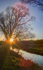 Endlich wieder Sonne nach den trüben Tagen am Anfang 2016!