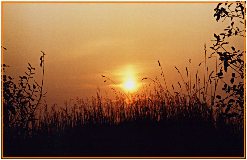 Endlich wieder Sonnenschein