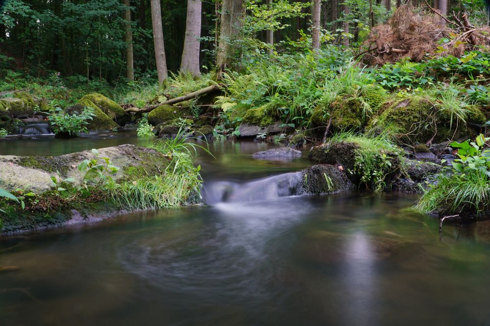 Endlich wieder Wasser..... 