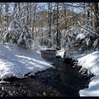 Endlich wieder Winter in Neuenrade