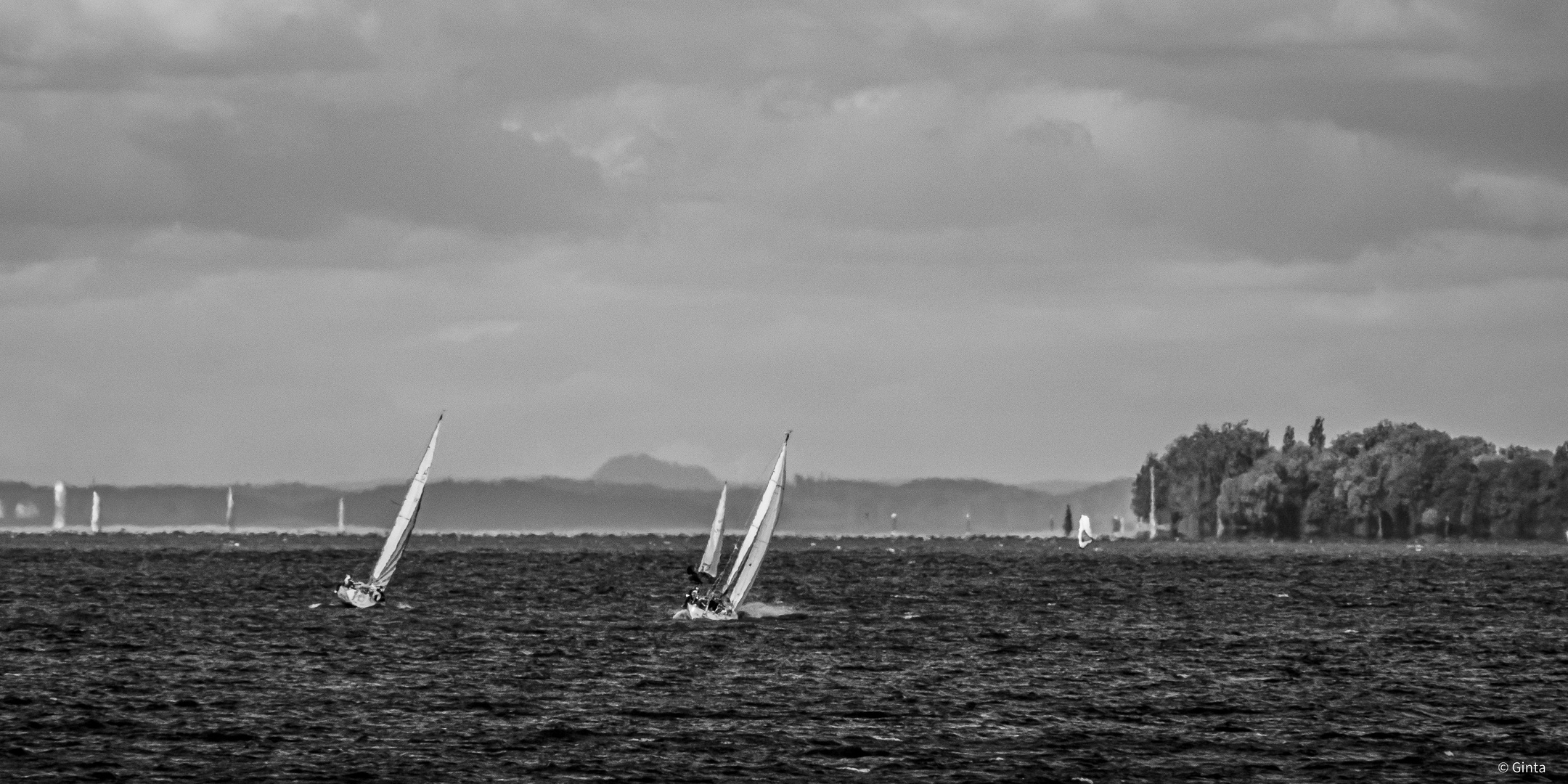 Endlich Wind am Bodensee