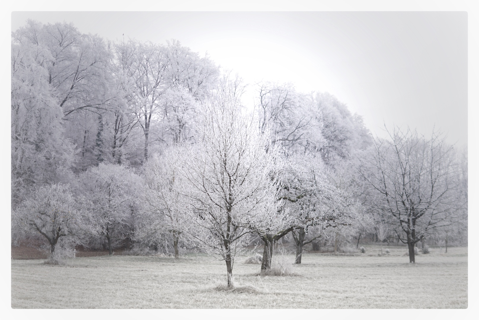 Endlich Winter!