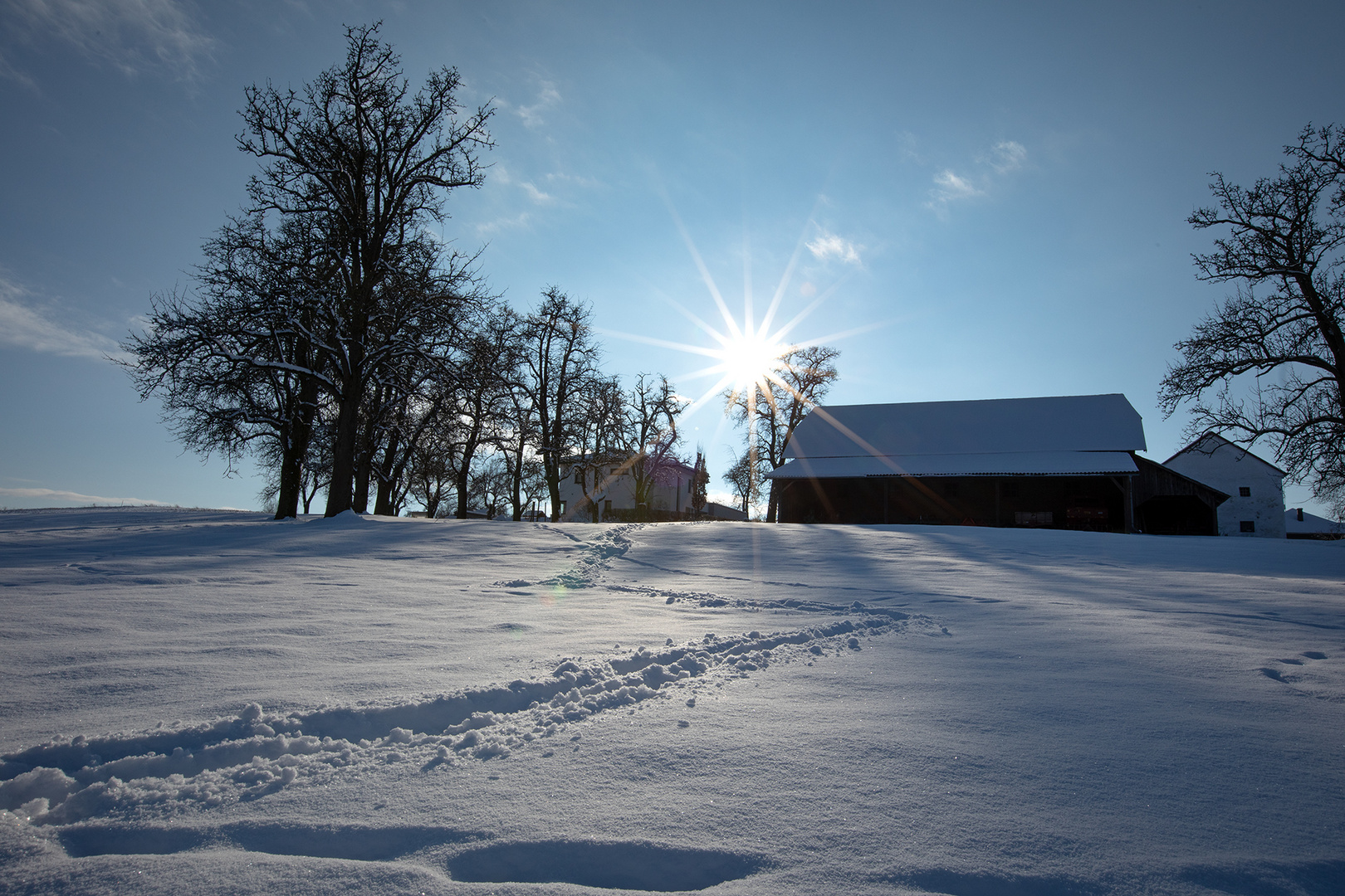 endlich Winter! 1