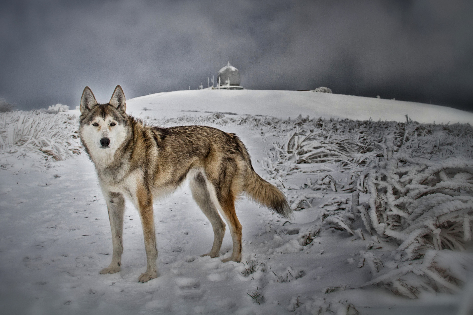 Endlich Winter