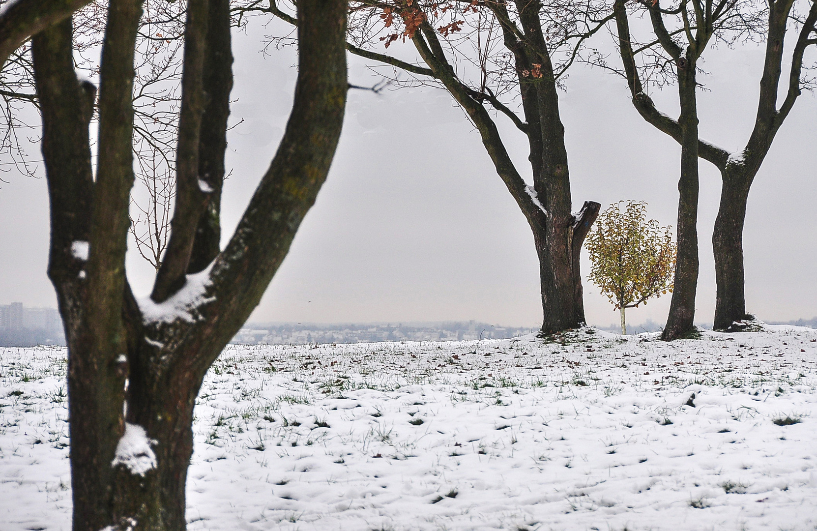 endlich Winter (2)