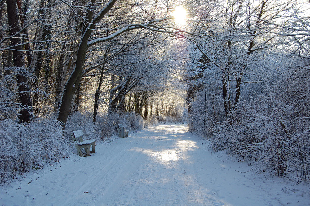 Endlich Winter