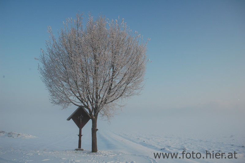 Endlich Winter!