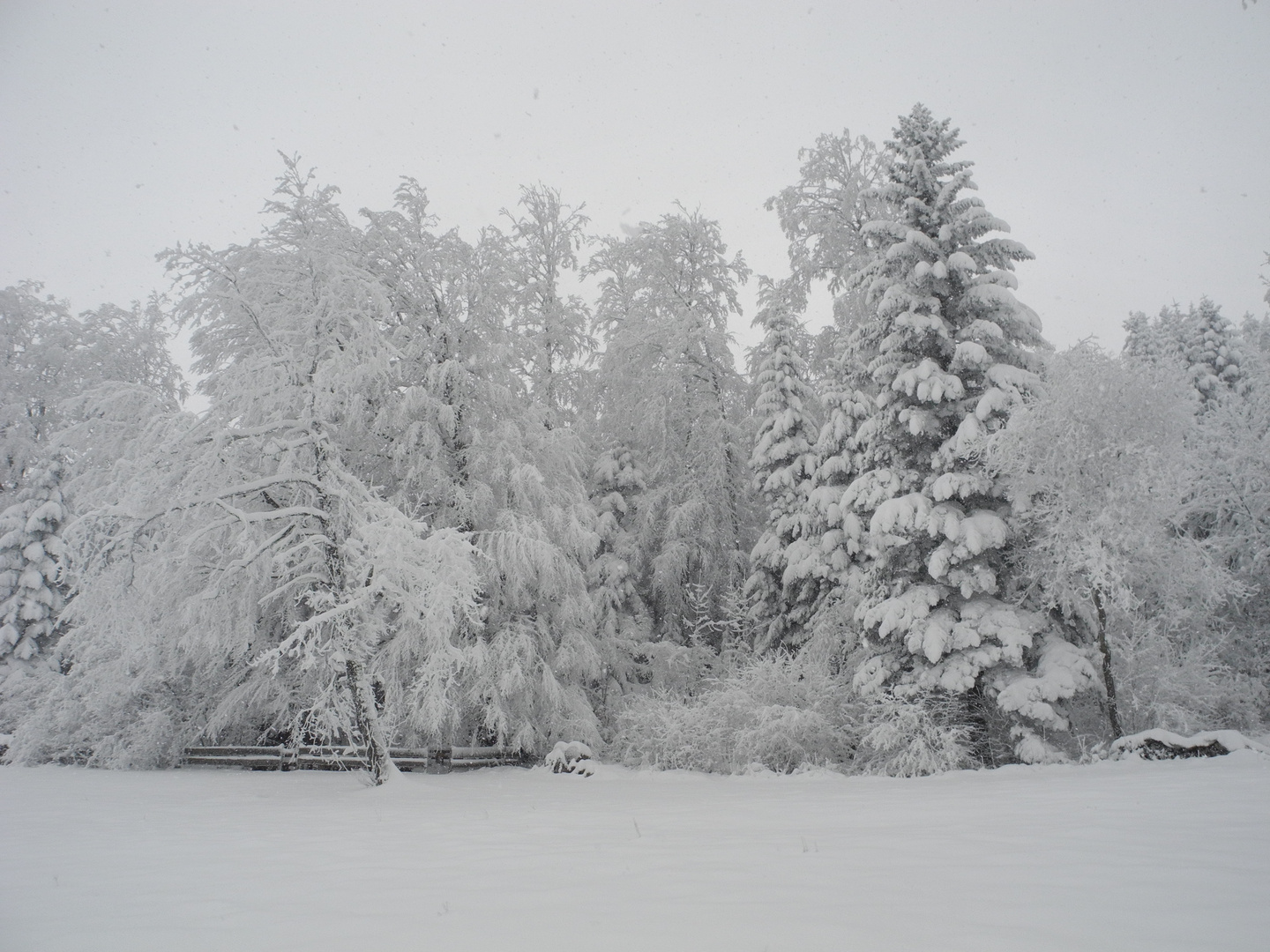 endlich Winter!