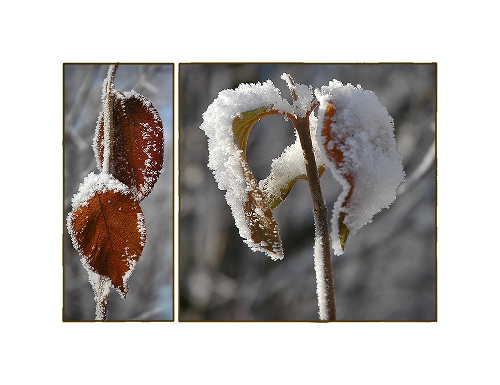 endlich Winter