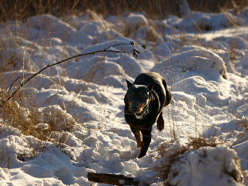 ...endlich Winter..