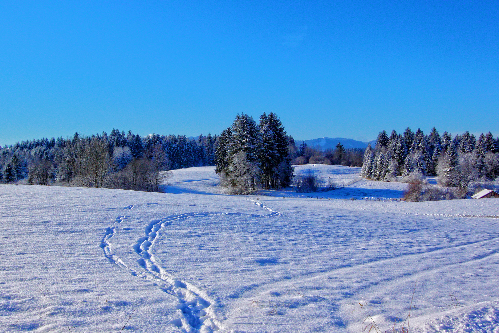 Endlich Winter