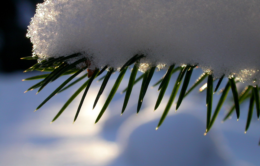 Endlich Winter...