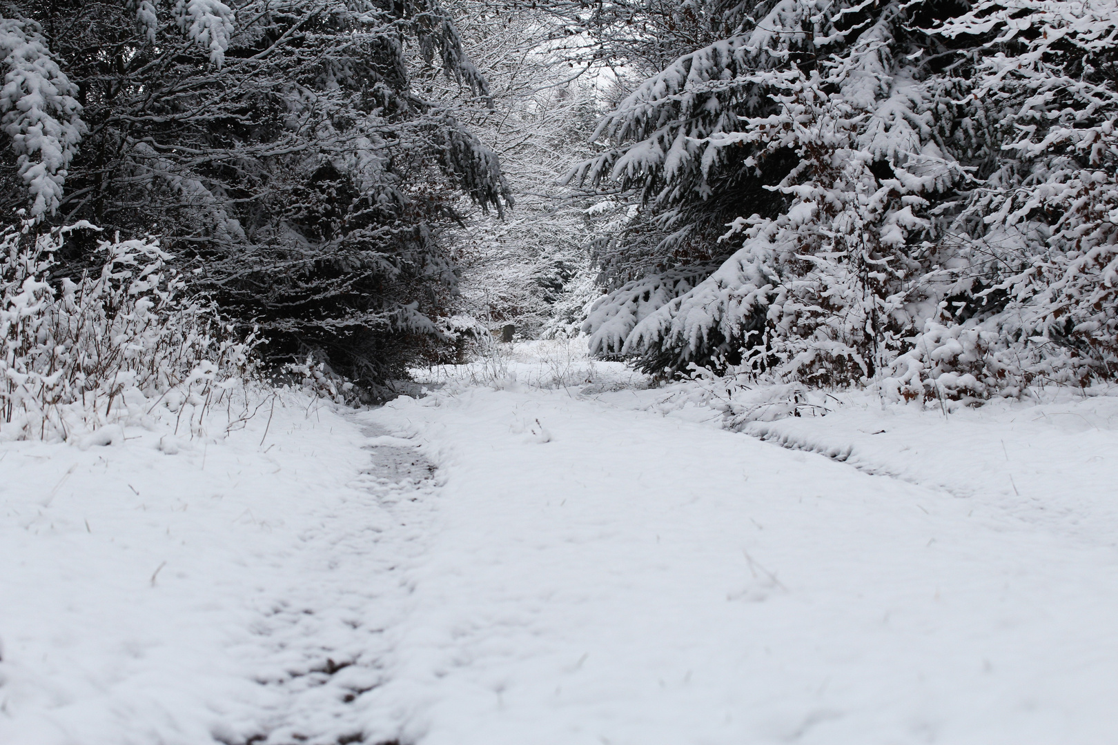 endlich Winter