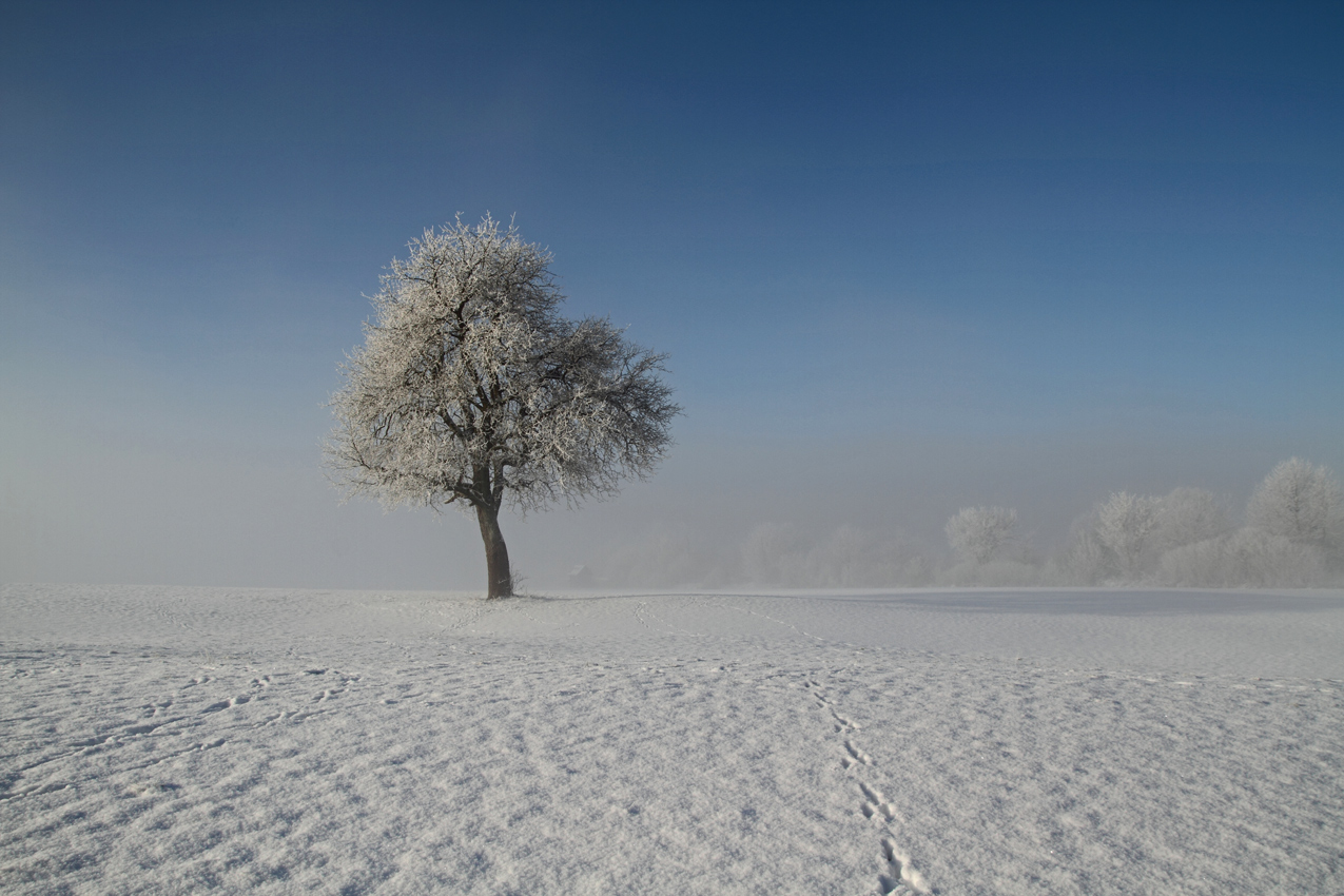 Endlich Winter