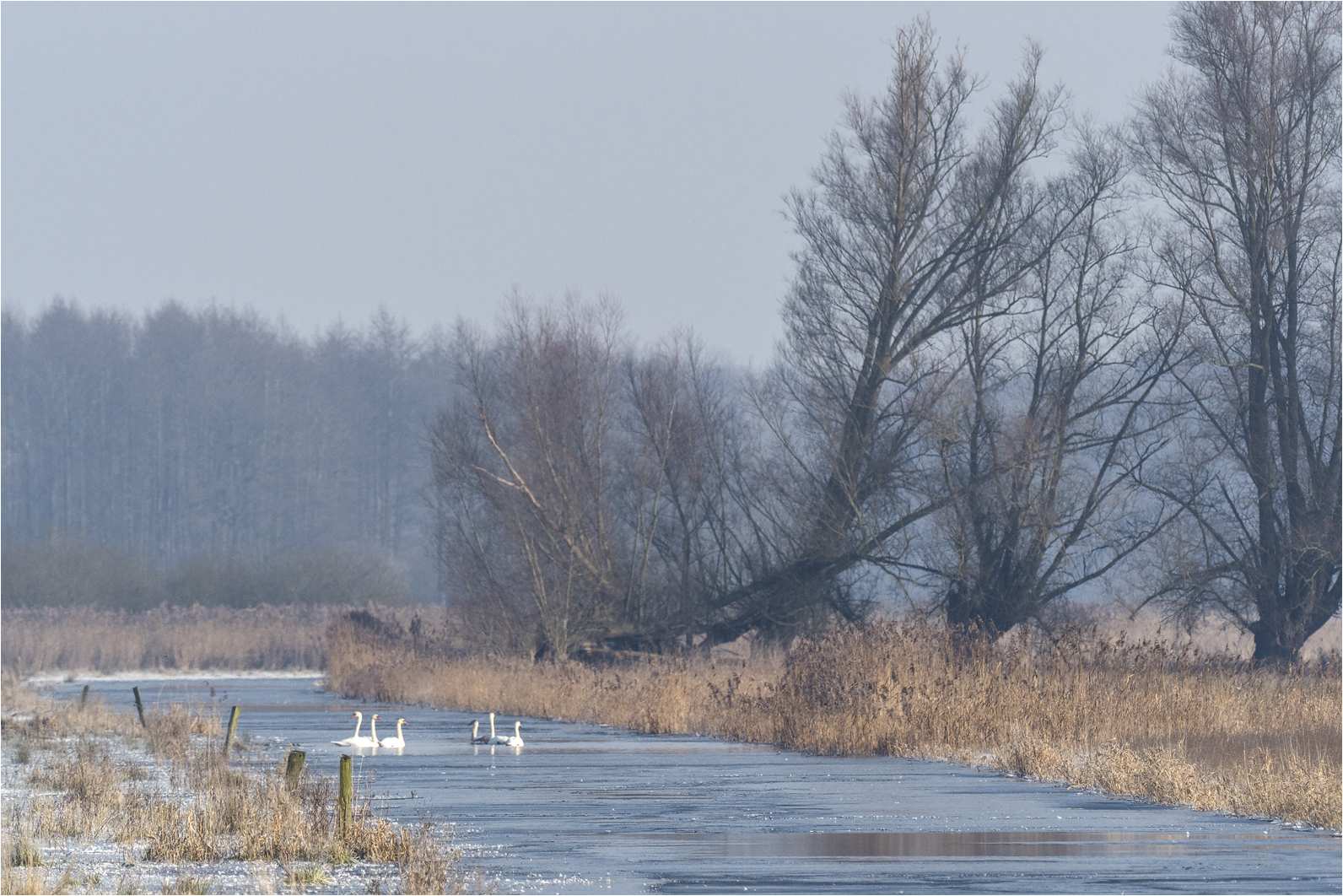 Endlich Winter..