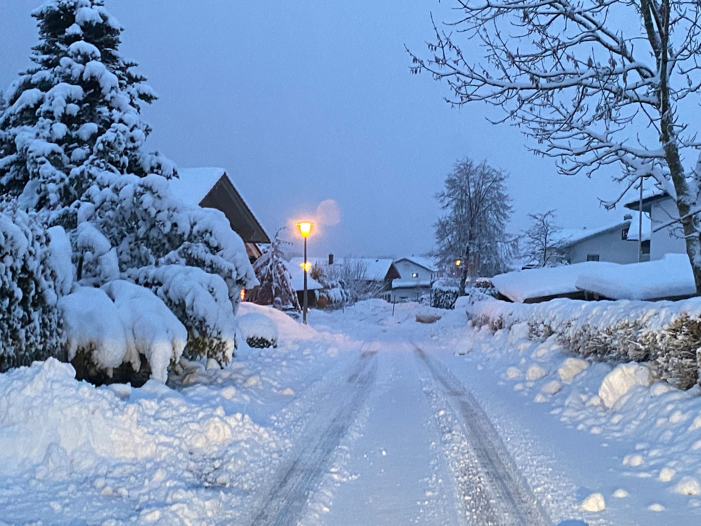 Endlich Winter - bayr. Wald