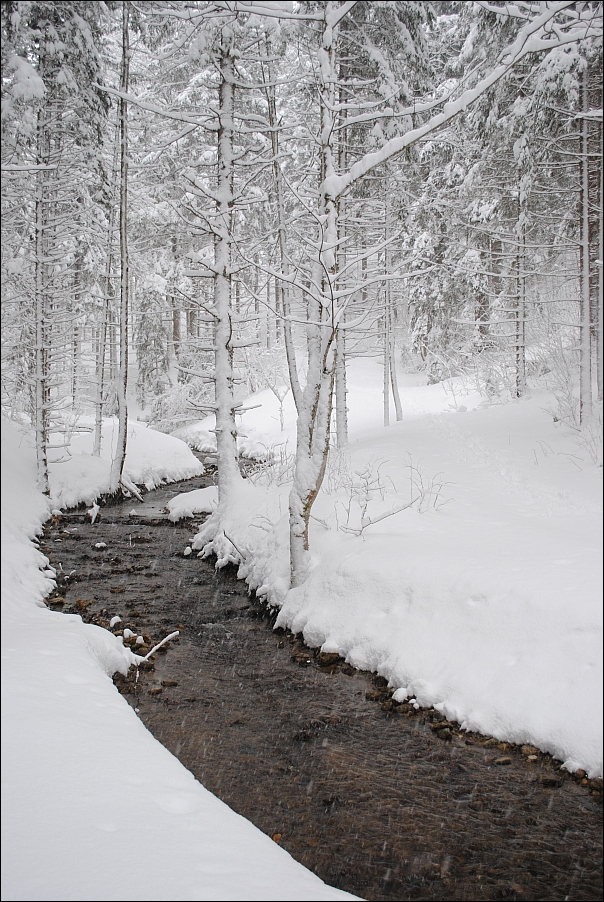 Endlich Winter bei uns!