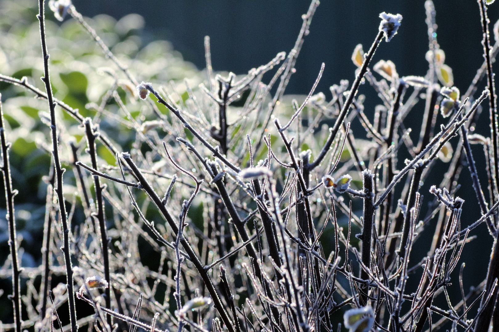 Endlich Winter