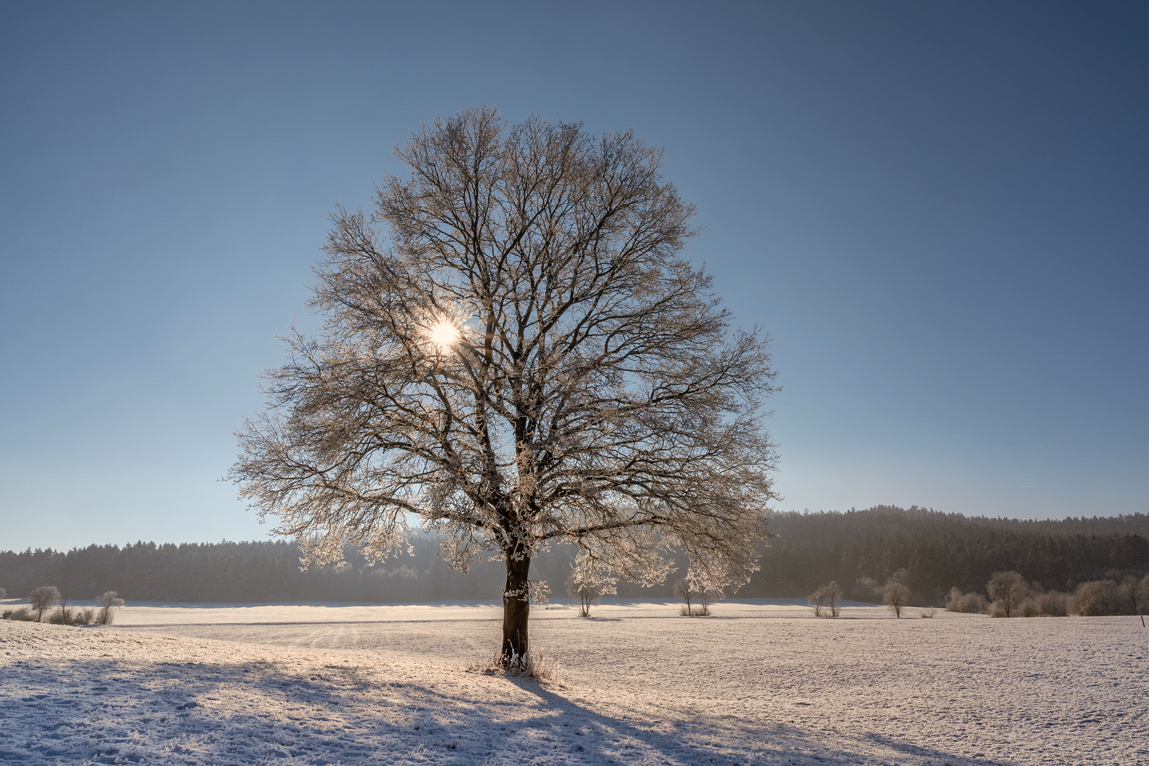 Endlich Winter