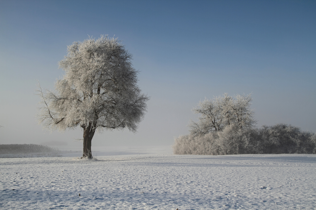 Endlich Winter II