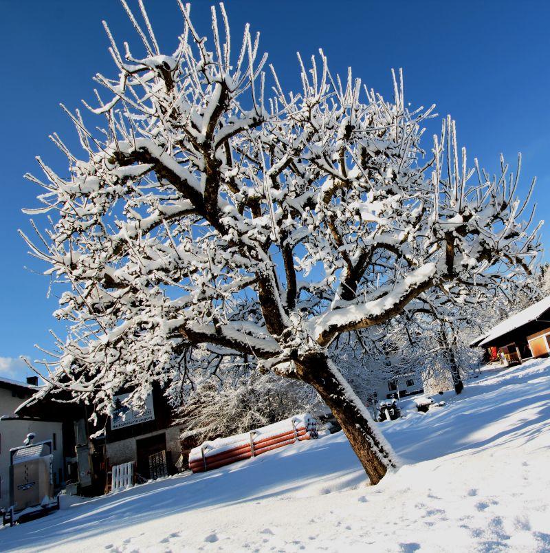 Endlich Winter in B. A.