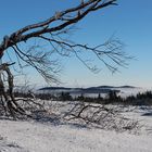 Endlich Winter mit Inversionswetterlage