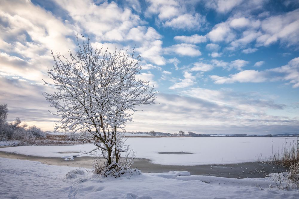 endlich Winterfreuden