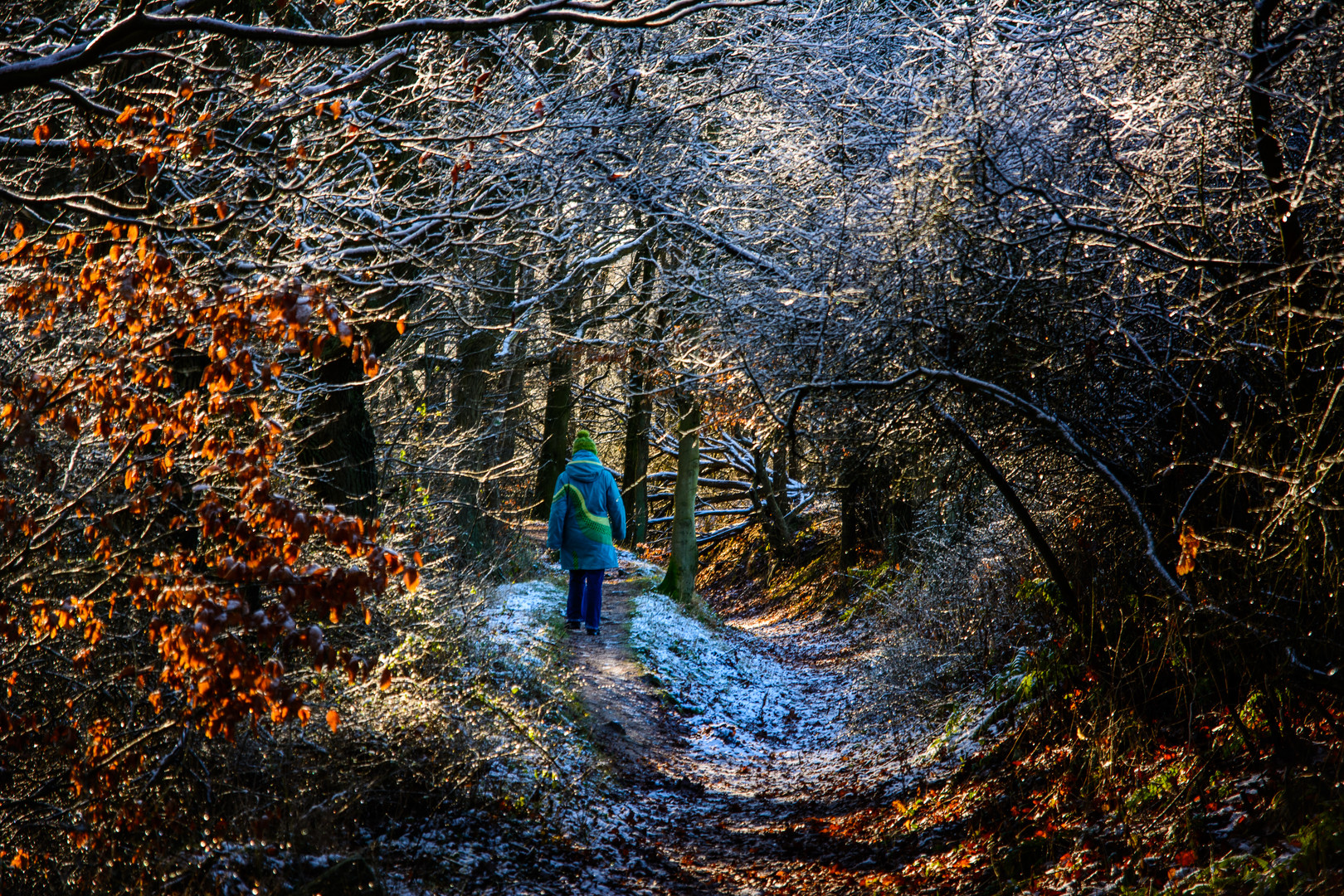 endlich Wintersonne-Weihnachtsspaziergang