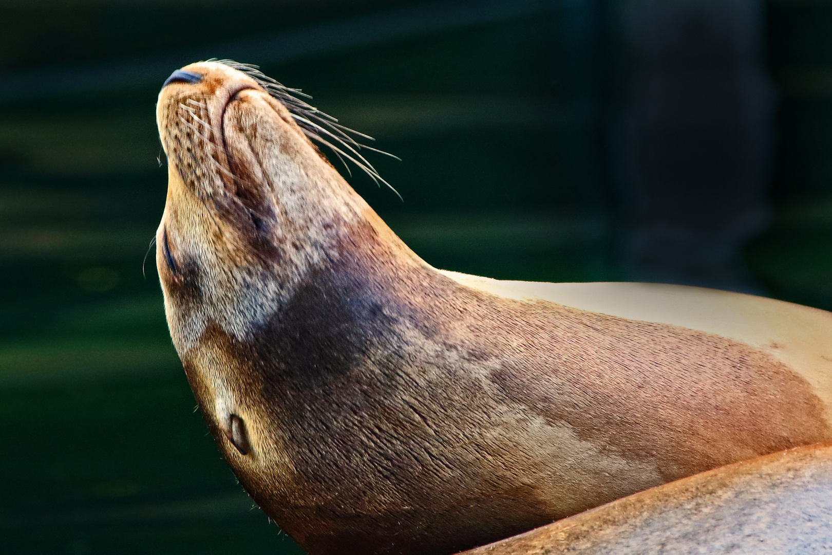 "ENDLICH WOCHENENDE" - nur noch Relaxen ist angesagt