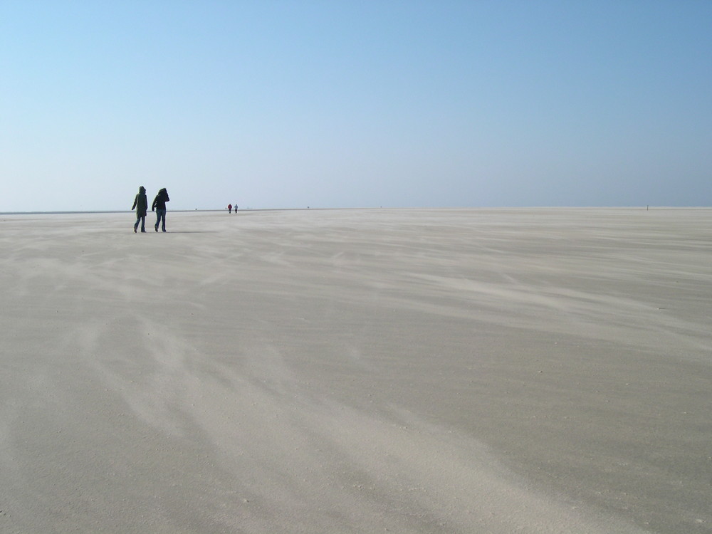 endlose strandwüste mit verwehungen (borkum)