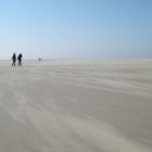 endlose strandwüste mit verwehungen (borkum)