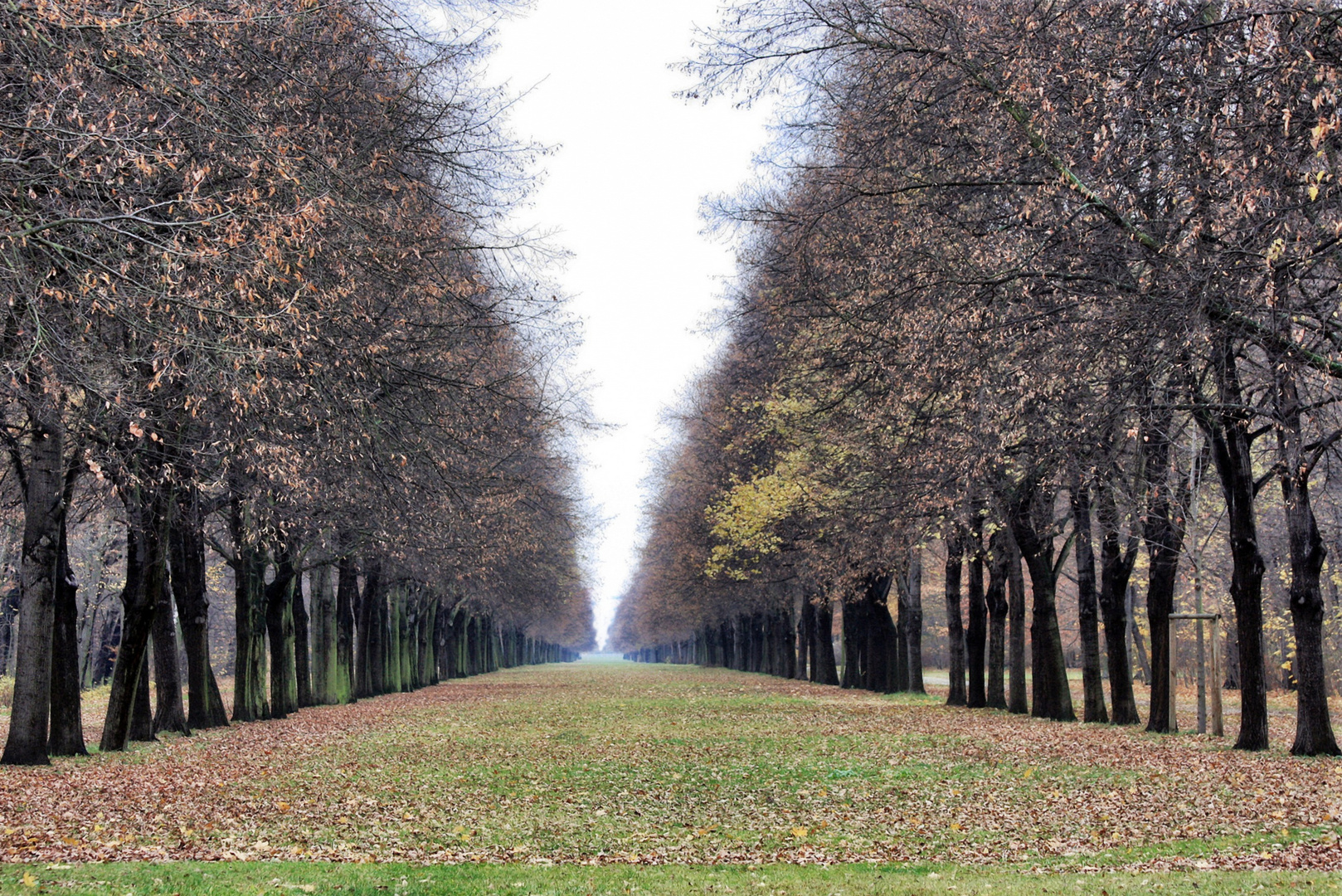 endloser Weg - Herbst