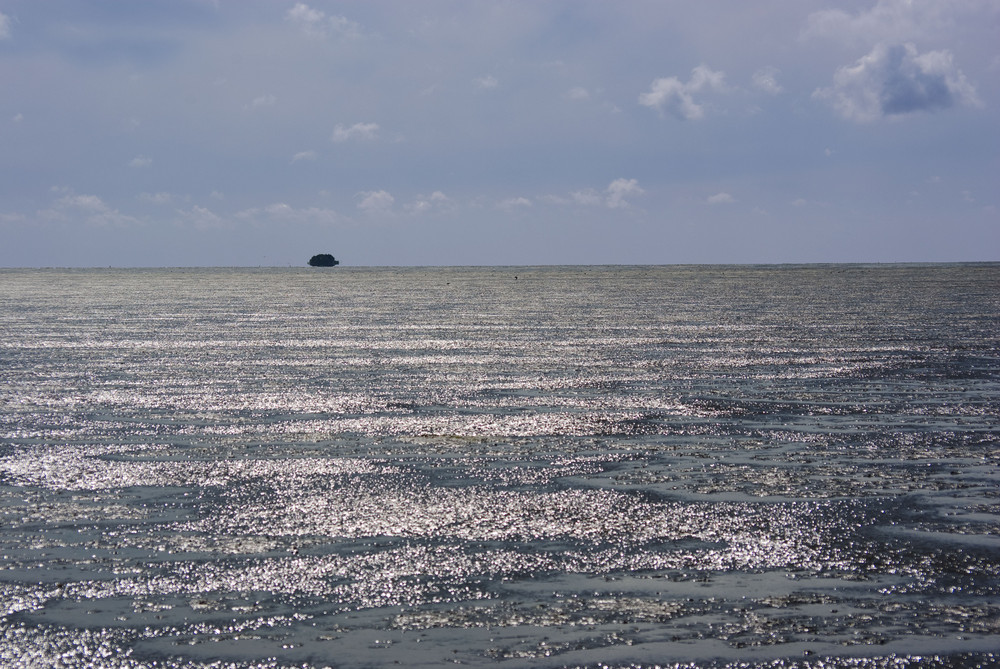 Endloses Wattenmeer