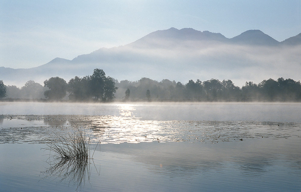 Endsommer-Nebel