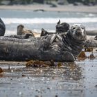 Endspannen auf Helgoland