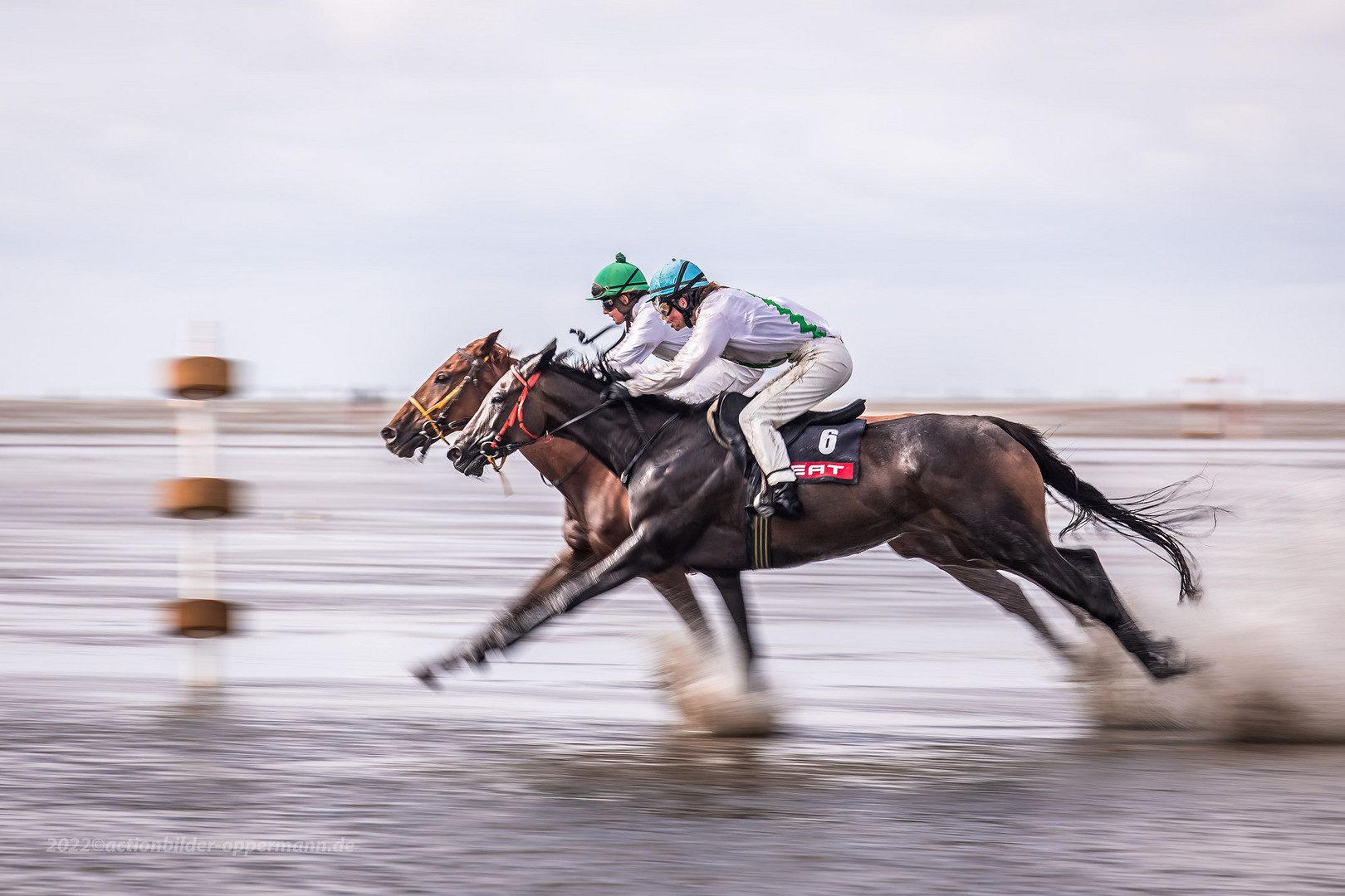 Endspurt Foto & Bild | sport, tiere, nordsee Bilder auf fotocommunity
