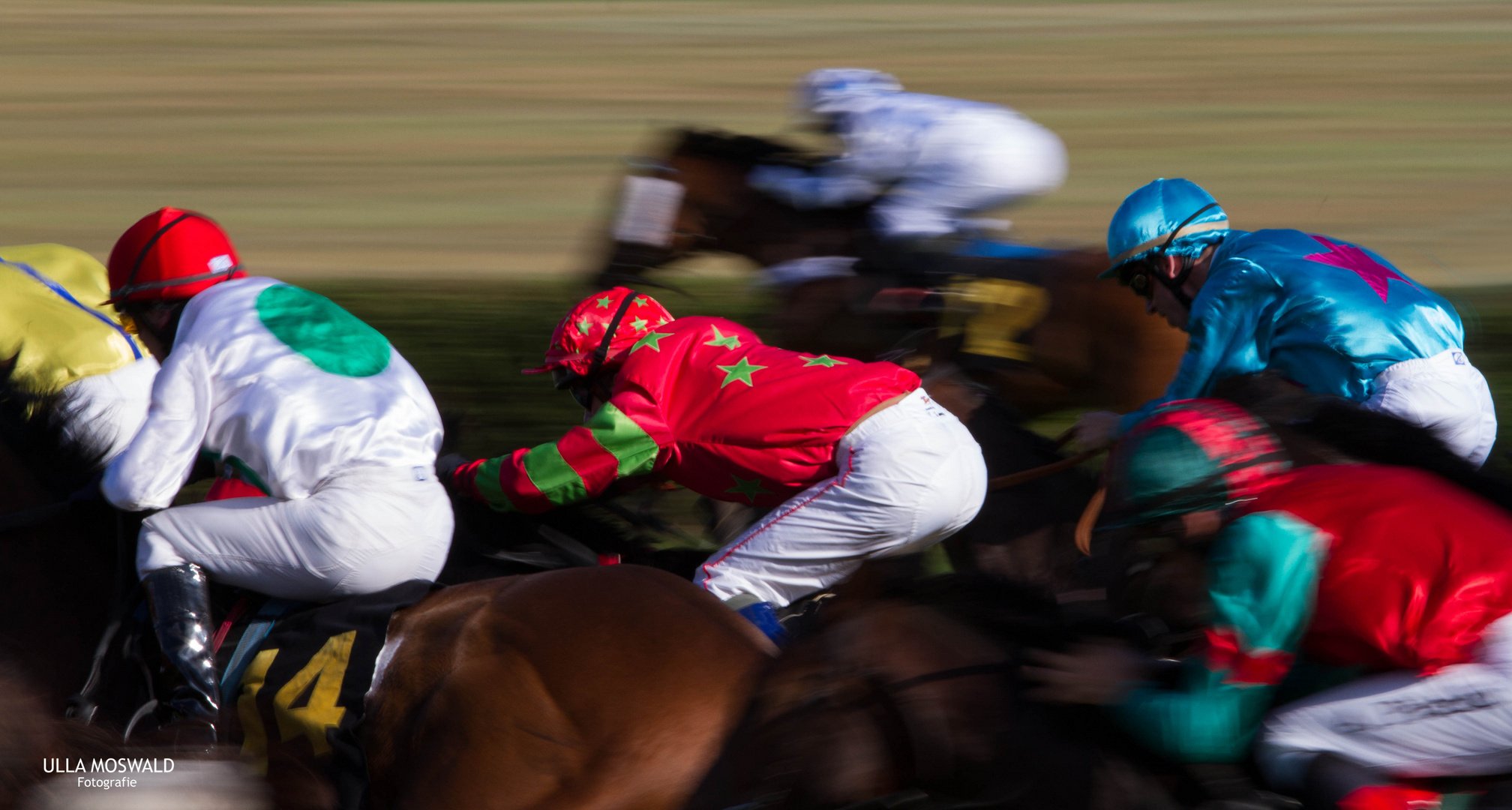 ...Endspurt... Foto & Bild | sport, sport mit tieren, pferdesport ...