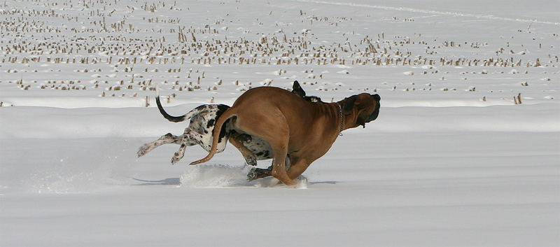 .... Endspurt - wer gewinnt kriegt die Wurscht :-)