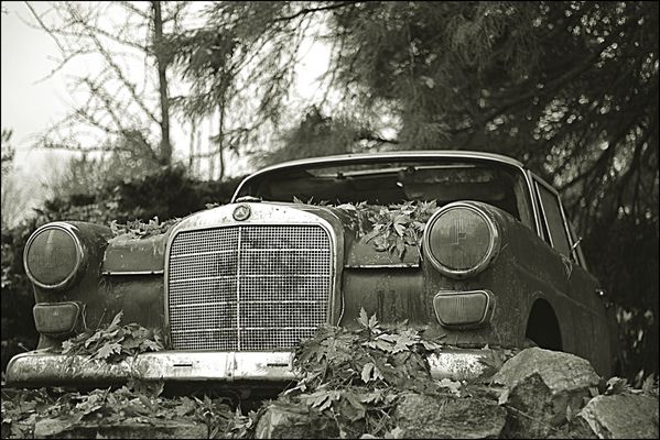 Endstation als Blumetopf