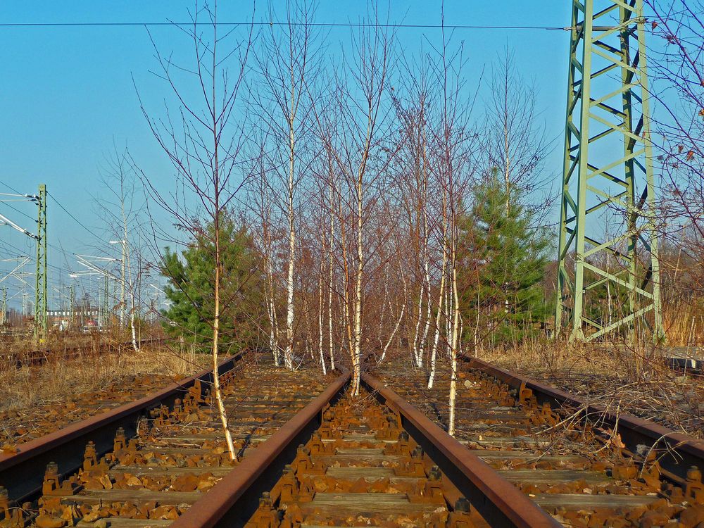 Endstation Birkenhain