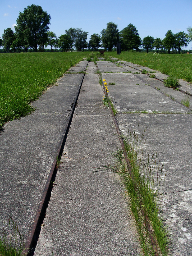 Endstation KZ - Neuengamme