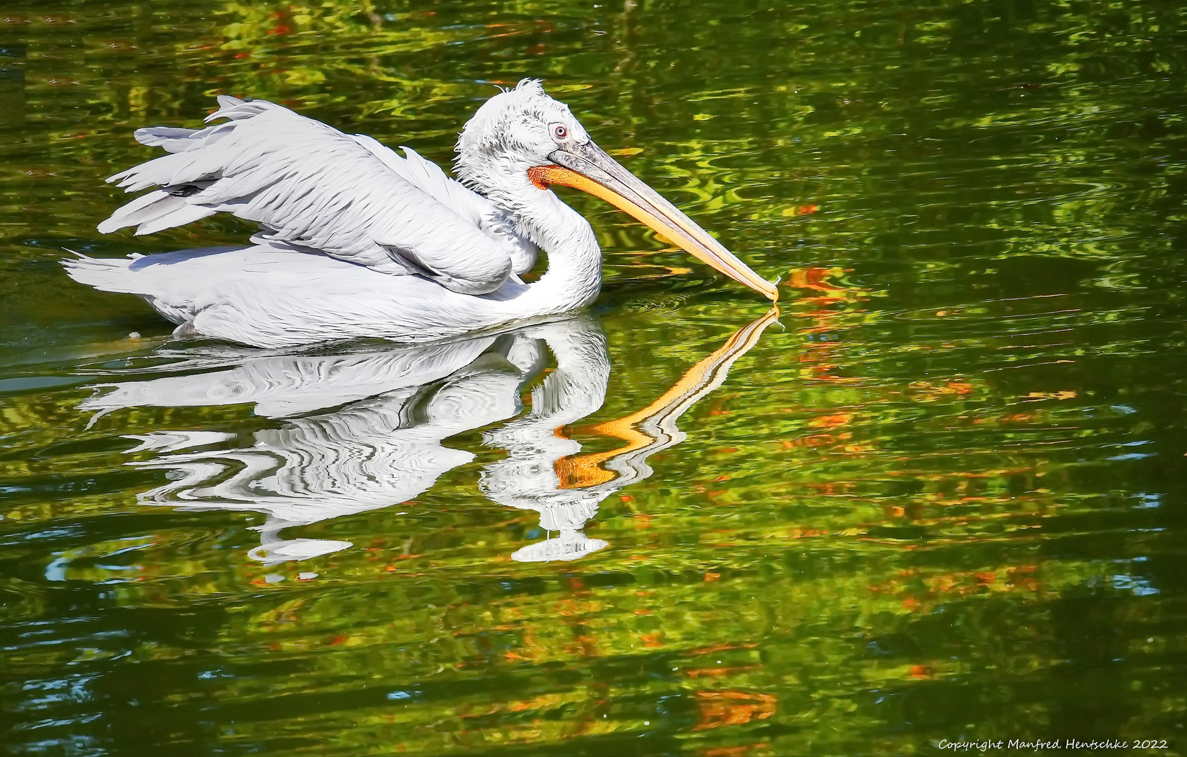 Ene Besuch im Zoo