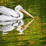 Ene Besuch im Zoo