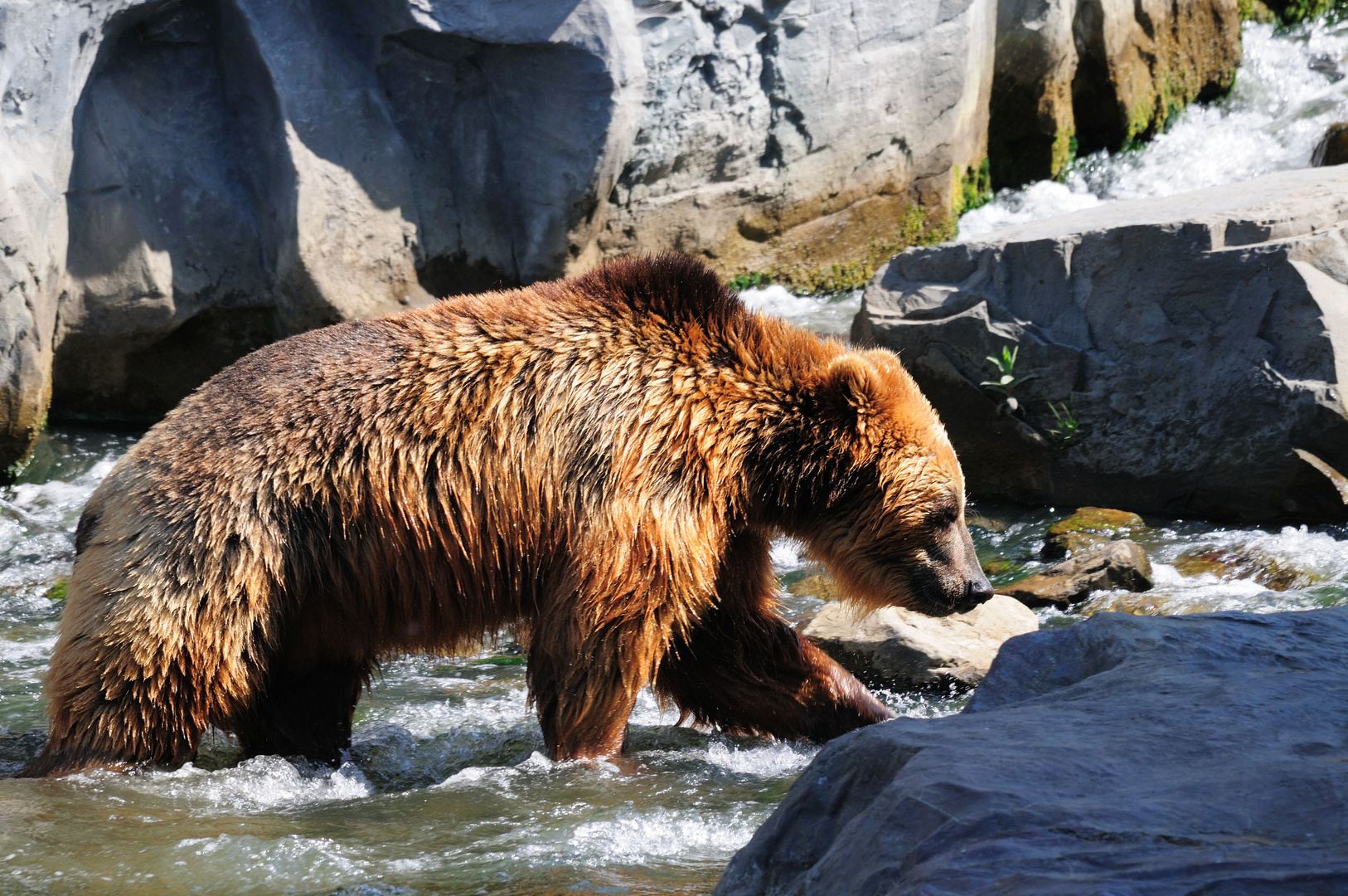 ene Besuch im Zoo