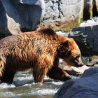 ene Besuch im Zoo